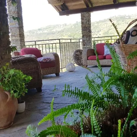 Studio With Sea View Enclosed Garden And Wifi At * أولياسترو تشيلنتو