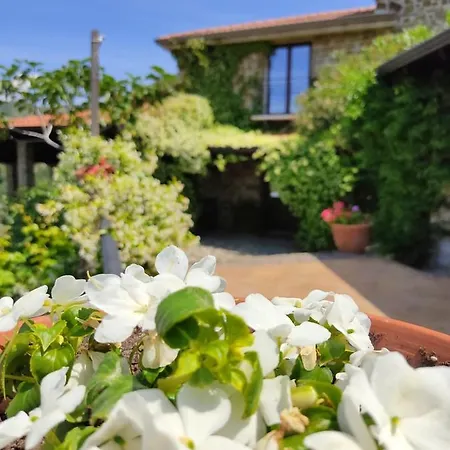 Studio With Sea View Enclosed Garden And Wifi At *